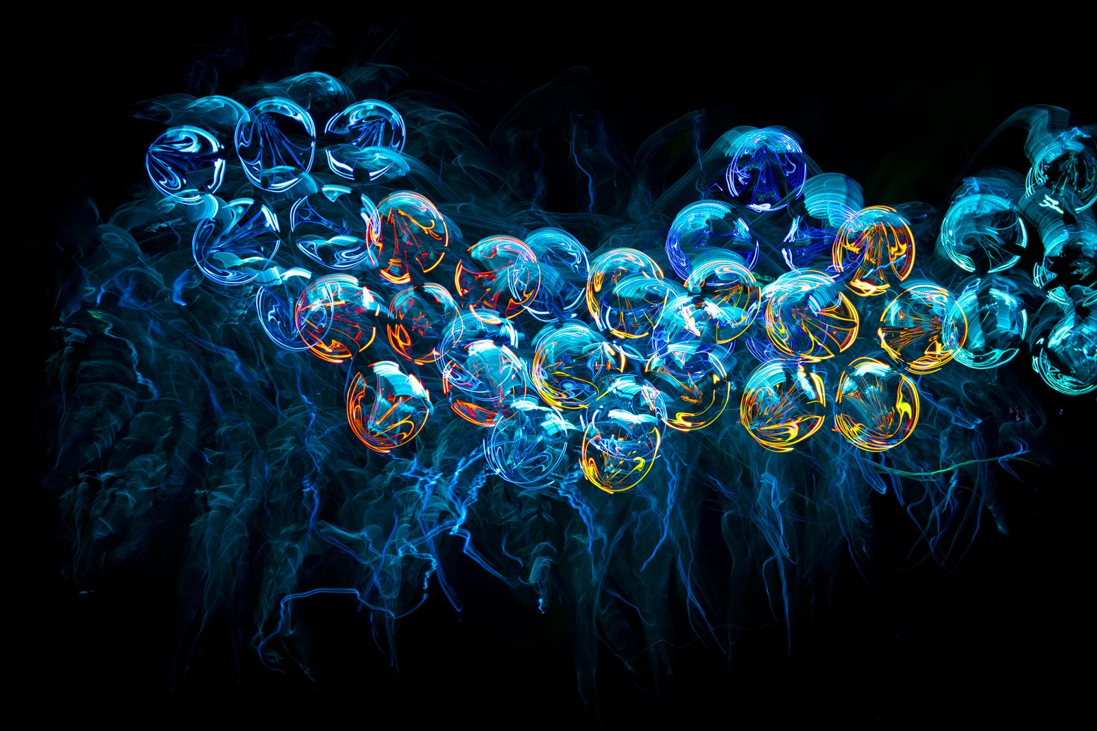 immortal jellyfish microscope