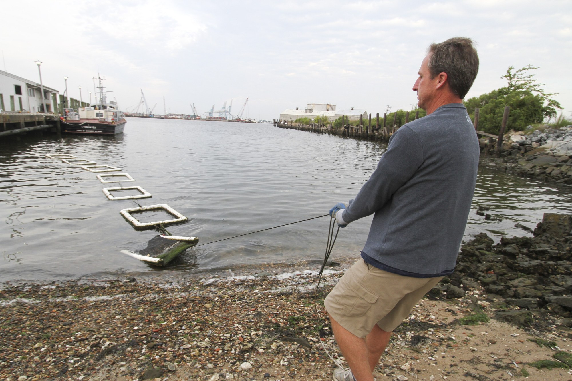 In 2014 the Chesapeake Bay Watershed Agreement set oyster restoration in 10 Bay tributaries by 2025; late 2025 partners had planted about 7.3 billion oysters across 1,905 restored acres
